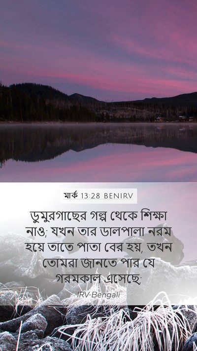 মার্ক 13:28 BENIRV Bible Verse Image