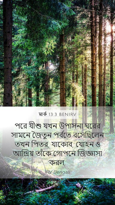 মার্ক 13:3 BENIRV Bible Verse Image