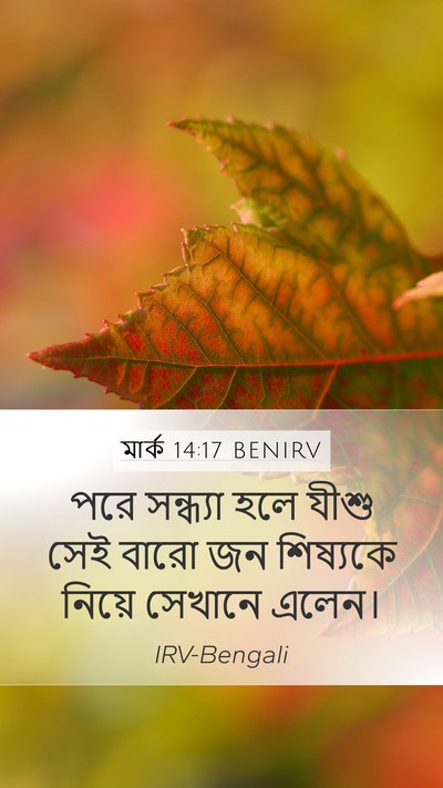 মার্ক 14:17 BENIRV Bible Verse Image