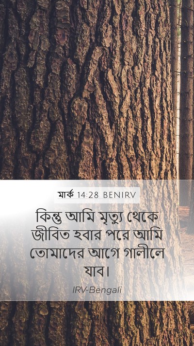 মার্ক 14:28 BENIRV Bible Verse Image