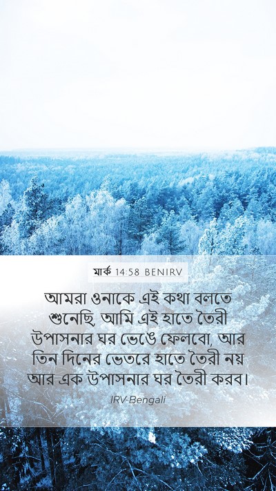 মার্ক 14:58 BENIRV Bible Verse Image