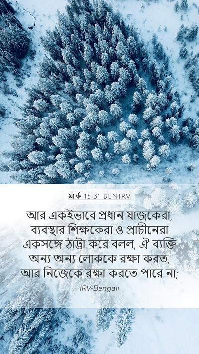 মার্ক 15:31 BENIRV Mobile Phone Wallpaper - আর একইভাবে প্রধান - Mobile Bible Verse Wallpaper