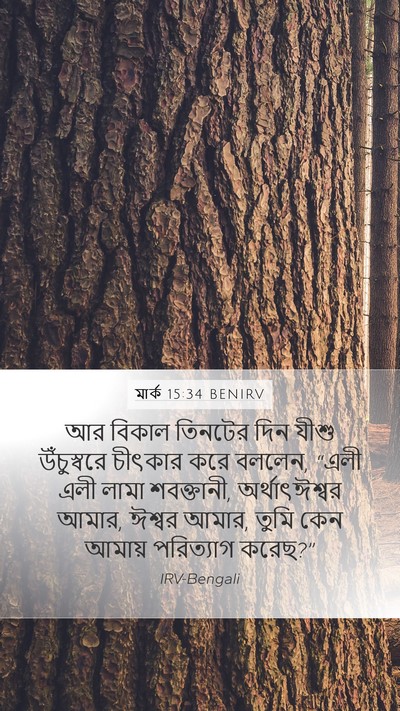 মার্ক 15:34 BENIRV Bible Verse Image