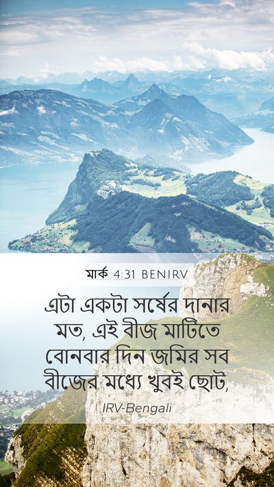মার্ক 4:31 BENIRV Bible Verse Image