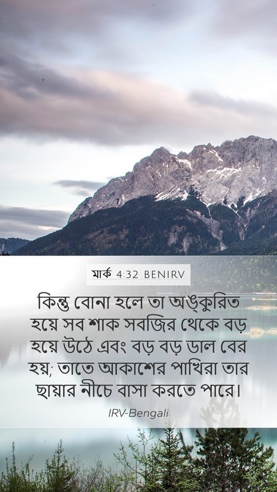 মার্ক 4:32 BENIRV Bible Verse Image