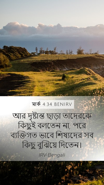 মার্ক 4:34 BENIRV Bible Verse Image