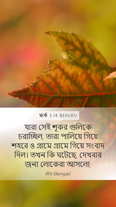 মার্ক 5:14 BENIRV Bible Verse Image
