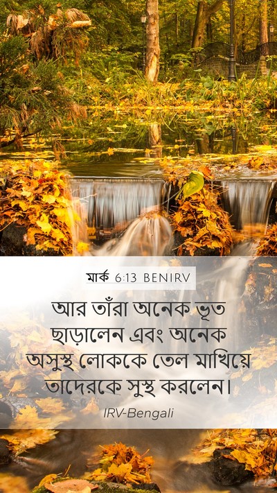 মার্ক 6:13 BENIRV Bible Verse Image