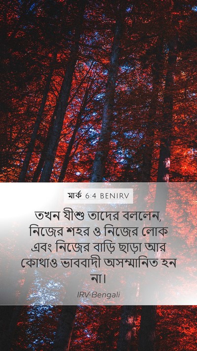 মার্ক 6:4 BENIRV Bible Verse Image
