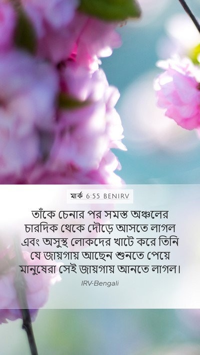 মার্ক 6:55 BENIRV Bible Verse Image