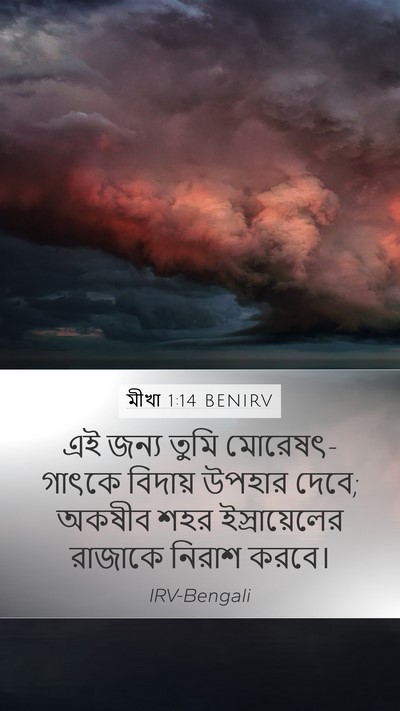 মীখা 1:14 BENIRV Bible Verse Image