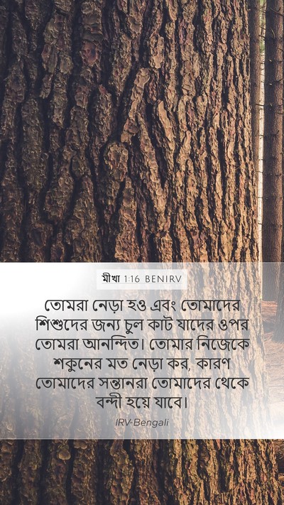মীখা 1:16 BENIRV Mobile Phone Wallpaper - তোমরা নেড়া হও এবং - Mobile Bible Verse Wallpaper