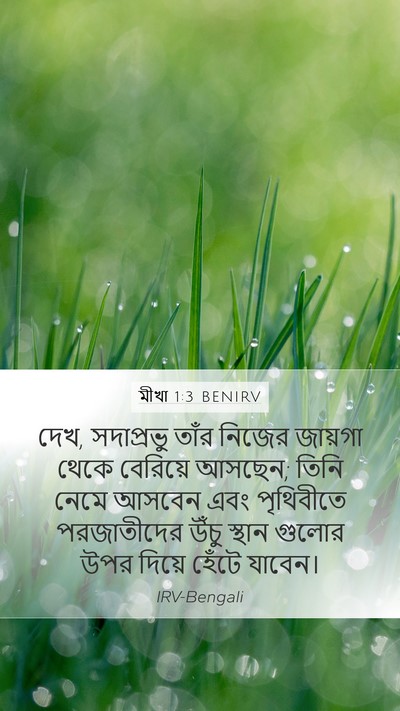মীখা 1:3 BENIRV Bible Verse Image
