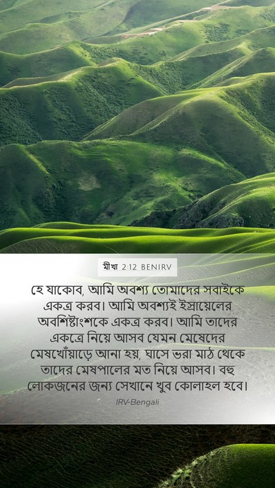 মীখা 2:12 BENIRV Bible Verse Image