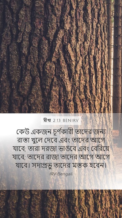 মীখা 2:13 BENIRV Bible Verse Image
