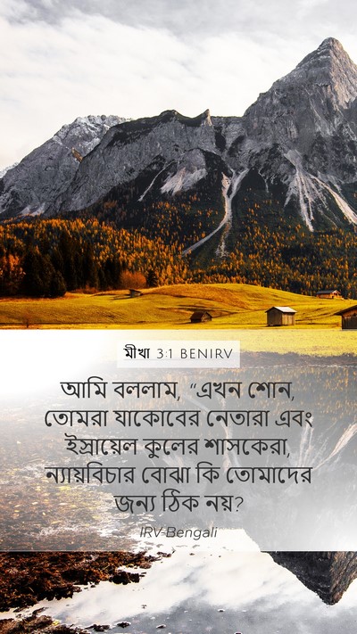 মীখা 3:1 BENIRV Bible Verse Image