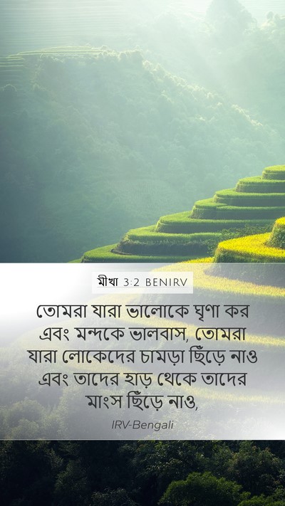মীখা 3:2 BENIRV Bible Verse Image