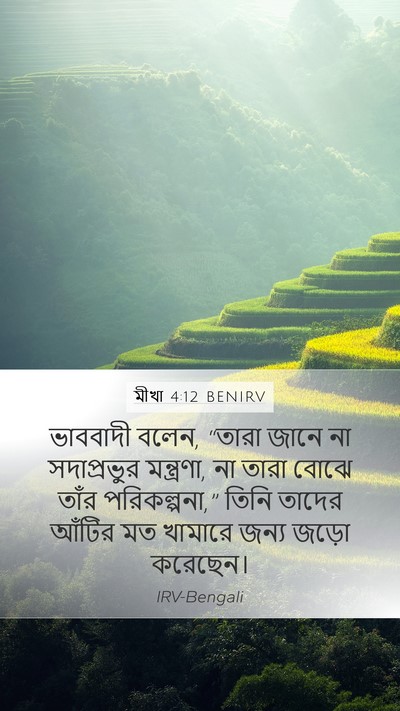 মীখা 4:12 BENIRV Bible Verse Image