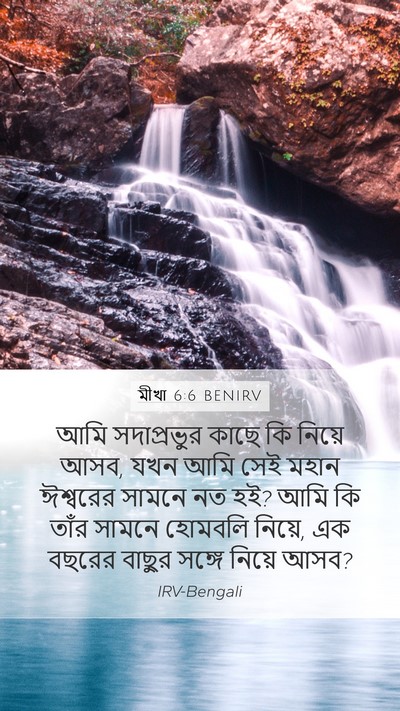 মীখা 6:6 BENIRV Bible Verse Image