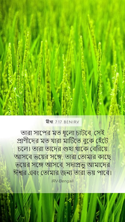 মীখা 7:17 BENIRV Bible Verse Image