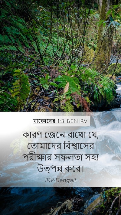 যাকোবের 1:3 BENIRV Bible Verse Image