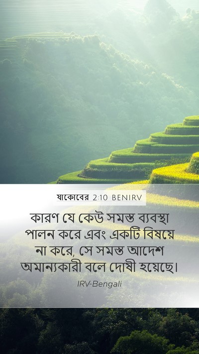 যাকোবের 2:10 BENIRV Bible Verse Image