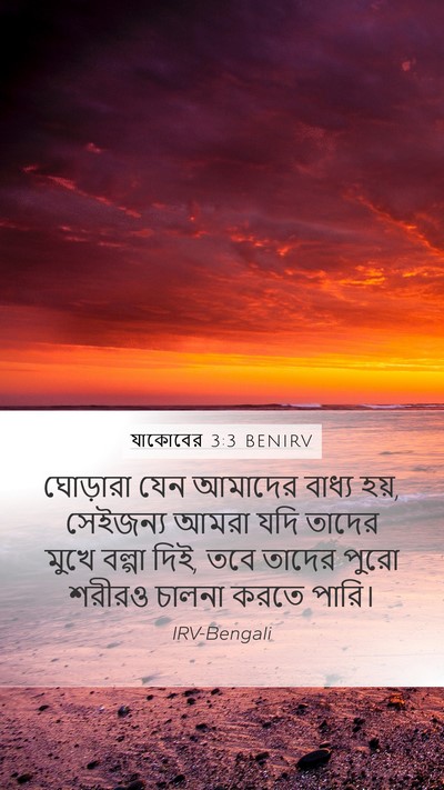 যাকোবের 3:3 BENIRV Bible Verse Image
