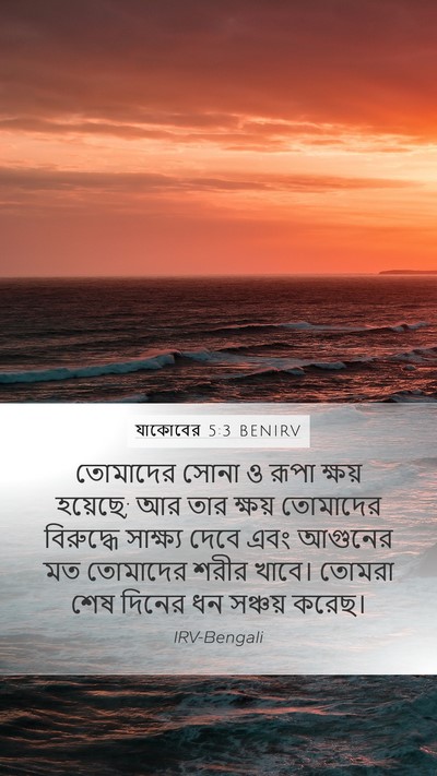 যাকোবের 5:3 BENIRV Bible Verse Image