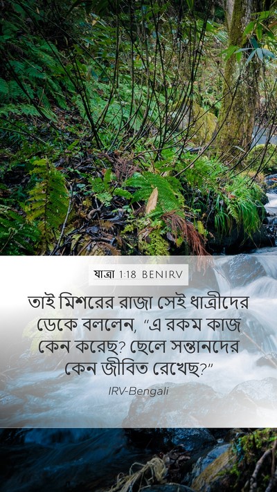 যাত্ৰা 1:18 BENIRV Mobile Phone Wallpaper - তাই মিশরের রাজা - Mobile Bible Verse Wallpaper