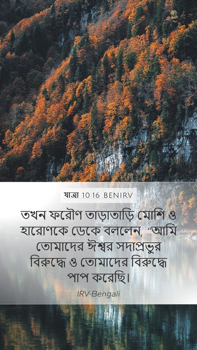 যাত্ৰা 10:16 BENIRV Bible Verse Image