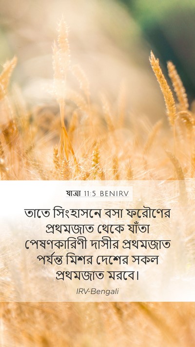 যাত্ৰা 11:5 BENIRV Bible Verse Image