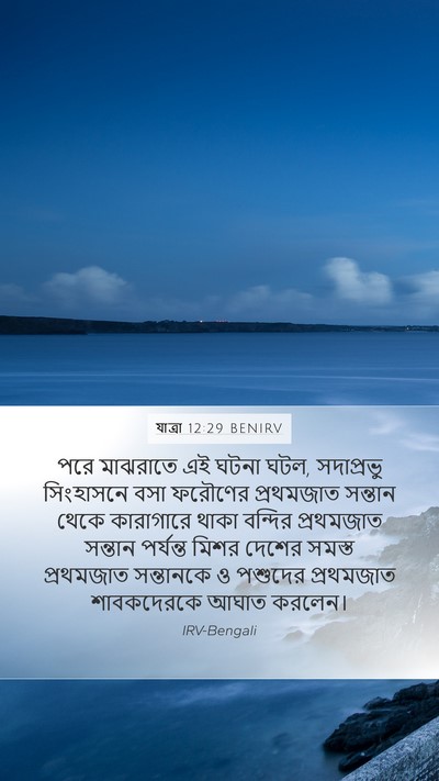 যাত্ৰা 12:29 BENIRV Bible Verse Image