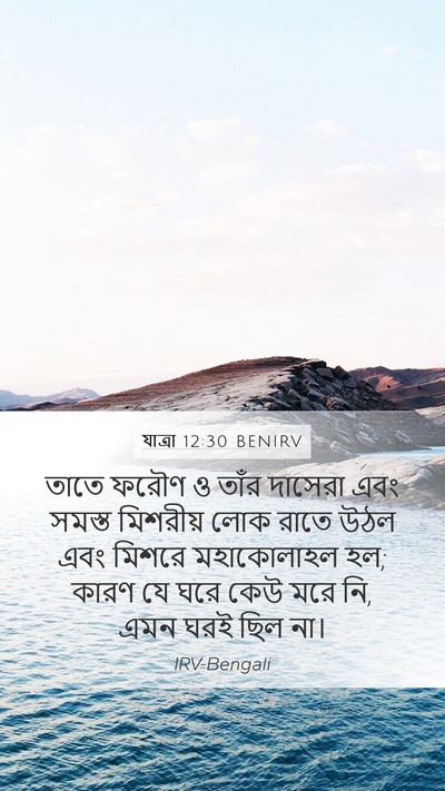 যাত্ৰা 12:30 BENIRV Bible Verse Image