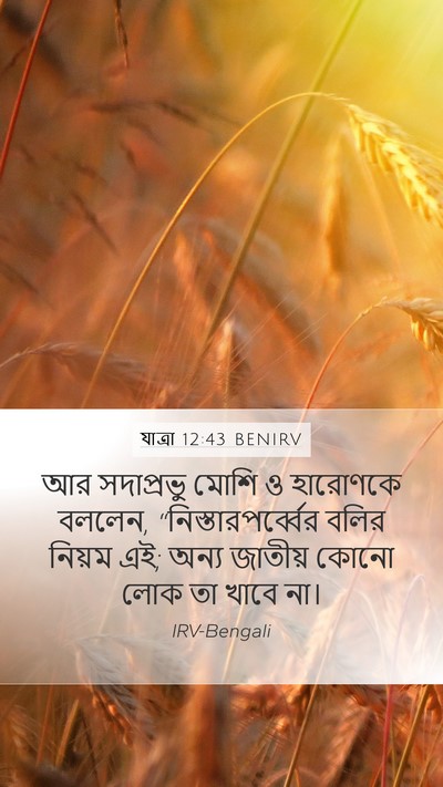 যাত্ৰা 12:43 BENIRV Bible Verse Image