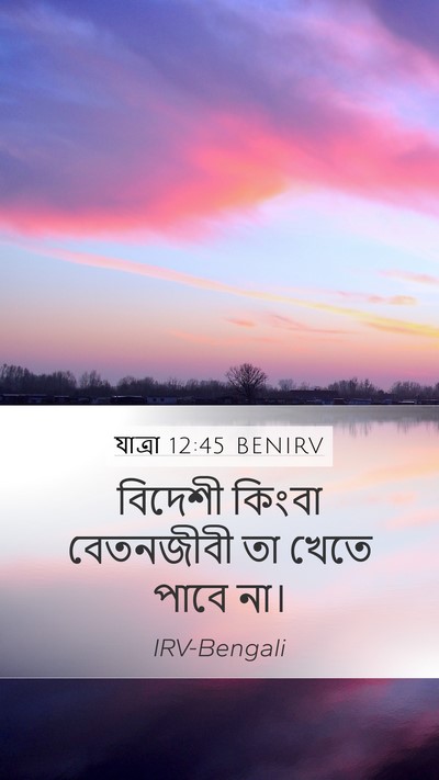 যাত্ৰা 12:45 BENIRV Mobile Phone Wallpaper - বিদেশী কিংবা - Mobile Bible Verse Wallpaper