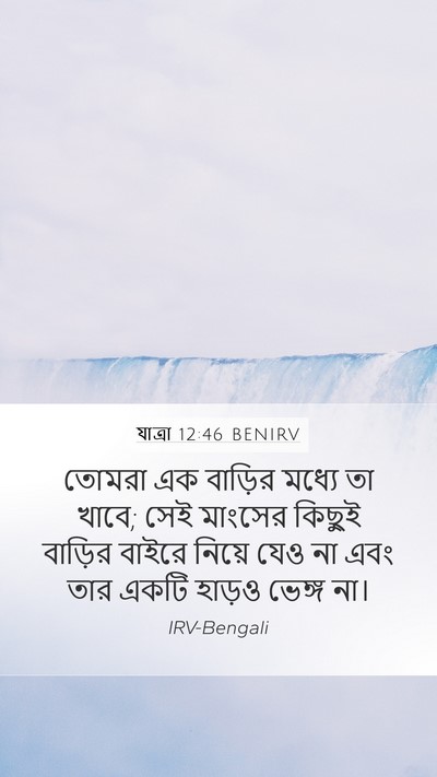যাত্ৰা 12:46 BENIRV Bible Verse Image