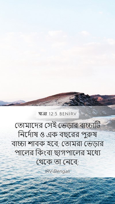 যাত্ৰা 12:5 BENIRV Bible Verse Image