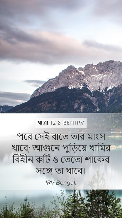 যাত্ৰা 12:8 BENIRV Bible Verse Image