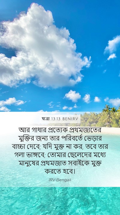 যাত্ৰা 13:13 BENIRV Bible Verse Image