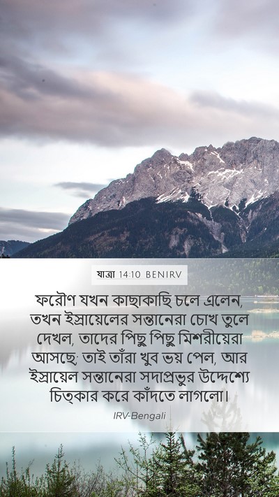 যাত্ৰা 14:10 BENIRV Bible Verse Image