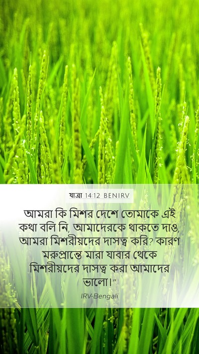 যাত্ৰা 14:12 BENIRV Bible Verse Image