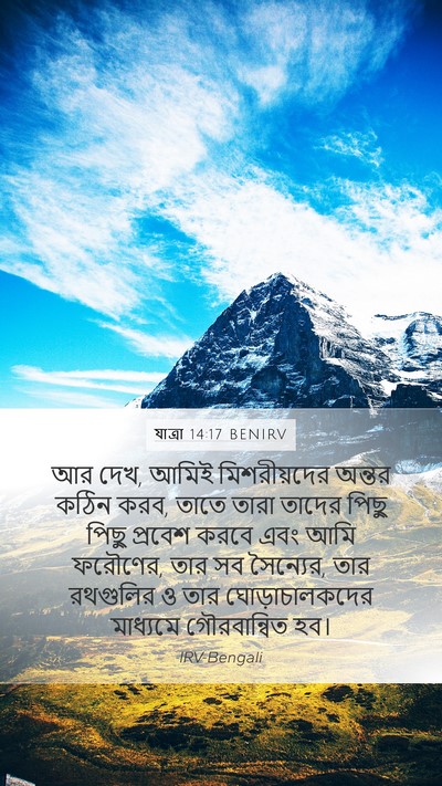 যাত্ৰা 14:17 BENIRV Bible Verse Image