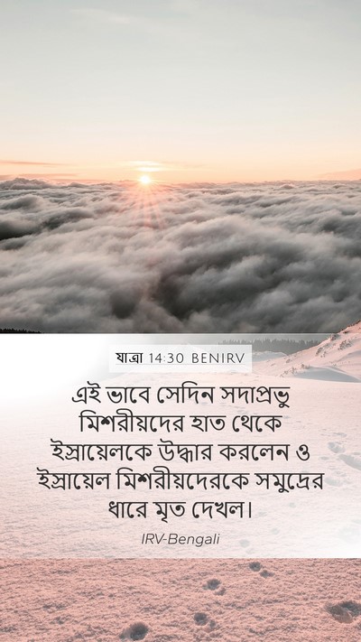 যাত্ৰা 14:30 BENIRV Bible Verse Image