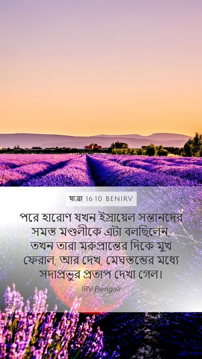 যাত্ৰা 16:10 BENIRV Bible Verse Image