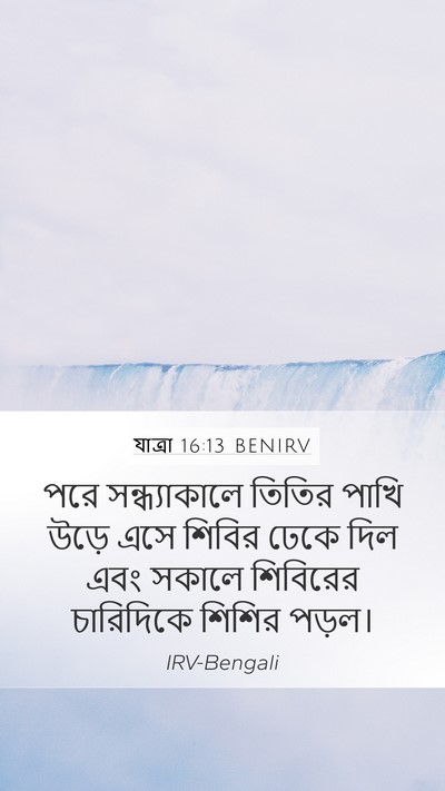 যাত্ৰা 16:13 BENIRV Bible Verse Image