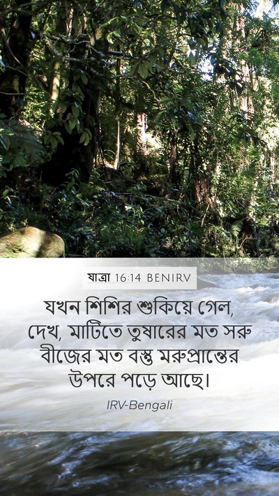 যাত্ৰা 16:14 BENIRV Bible Verse Image