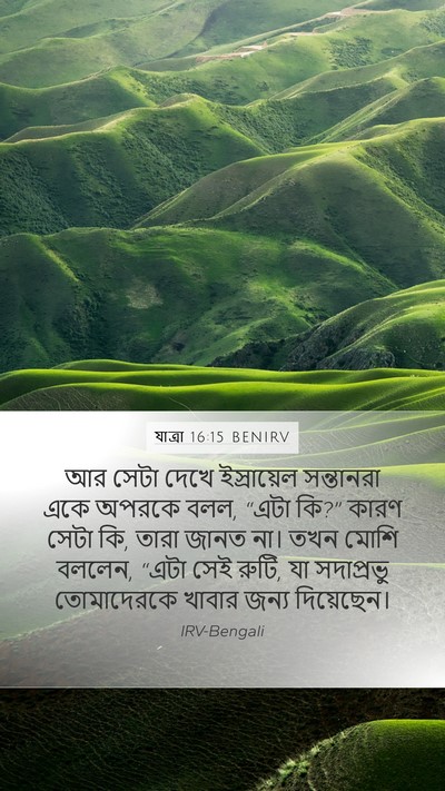 যাত্ৰা 16:15 BENIRV Bible Verse Image