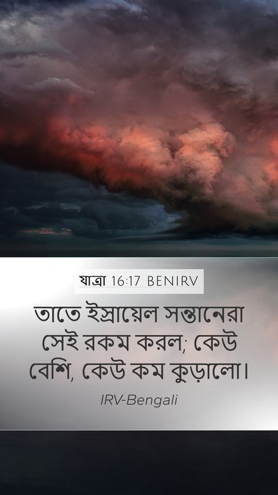 যাত্ৰা 16:17 BENIRV Mobile Phone Wallpaper - তাতে ইস্রায়েল - Mobile Bible Verse Wallpaper