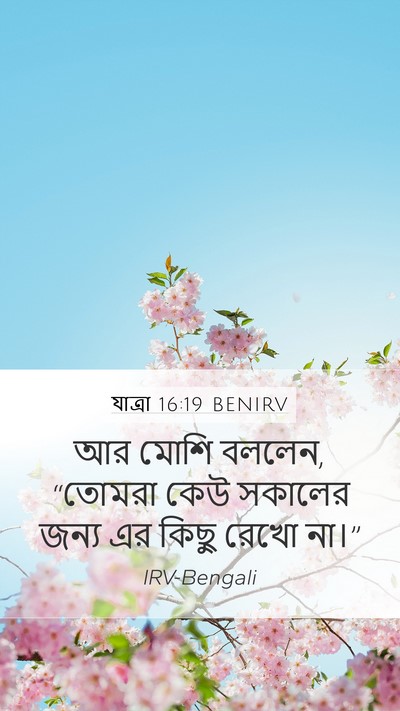 যাত্ৰা 16:19 BENIRV Bible Verse Image