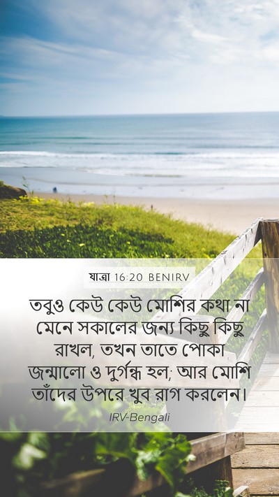 যাত্ৰা 16:20 BENIRV Bible Verse Image